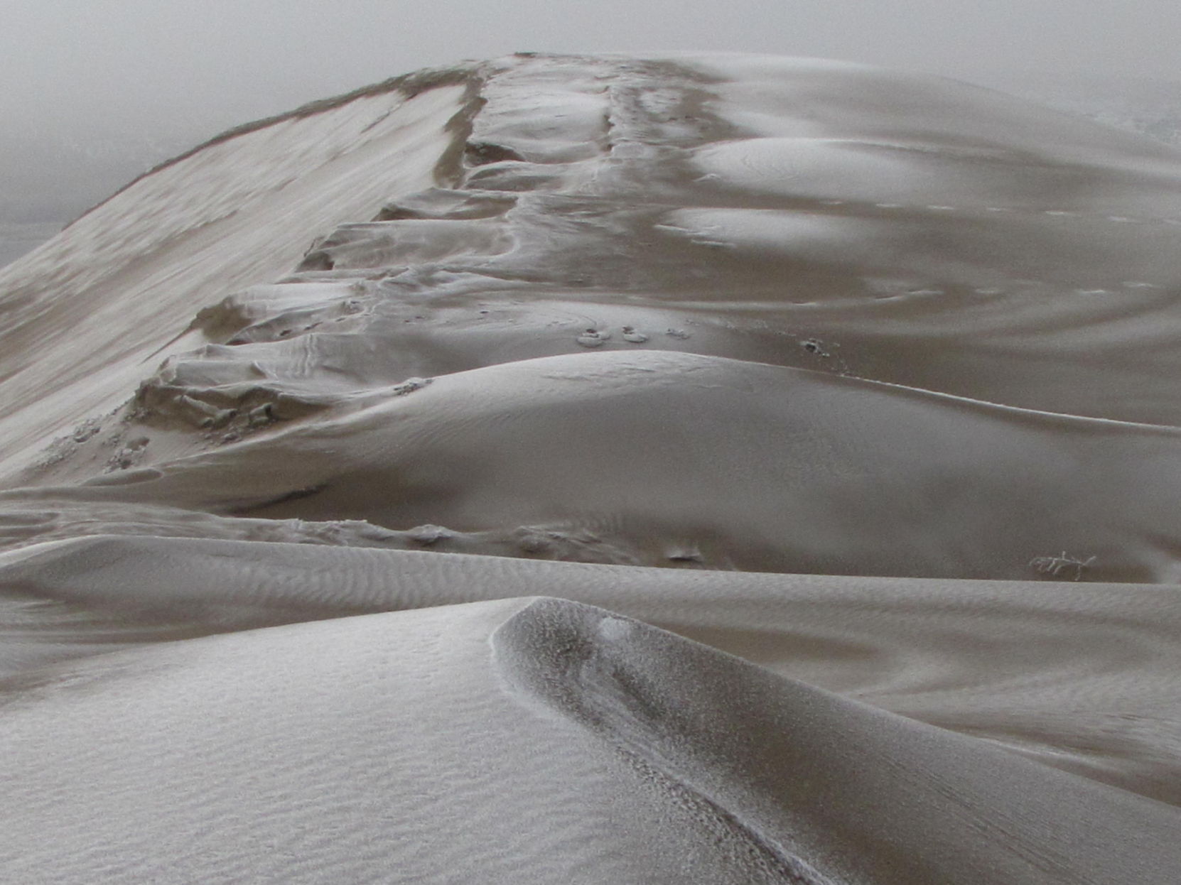 Bruneau Dunes